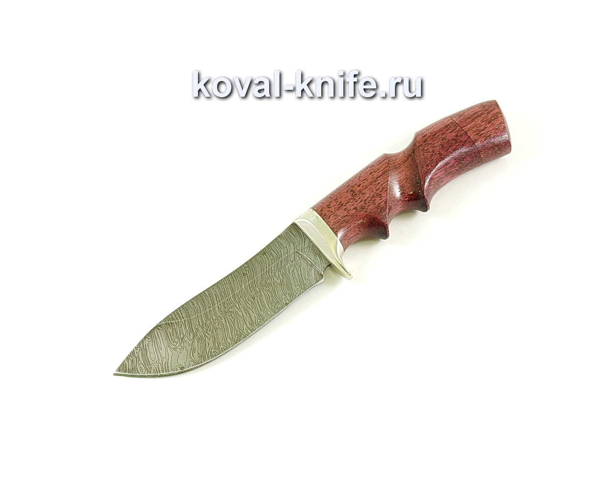 Нож Кабан (сталь дамасская), рукоять падук, литье A067
