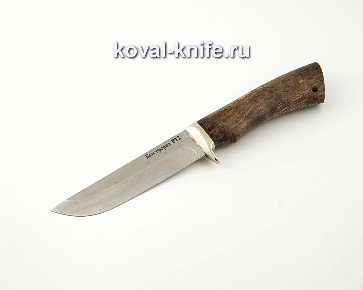 Нож Белка из быстрореза Р12М с рукоятью из стабилизированной карельской березы, гарда мельхиор A523